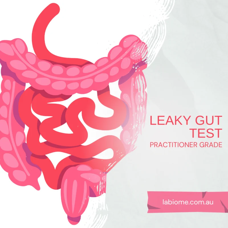 Leaky Gut Test