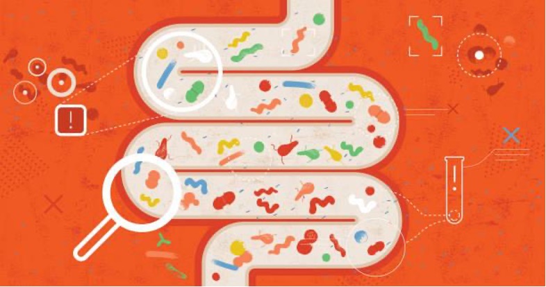 microbiome testing in Sydney for gut health